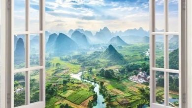 Photo of Симфоническое великолепие