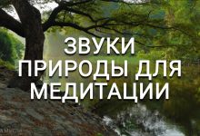 Photo of Звуки природы в музыке