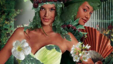 Photo of Тайны литературного творчества