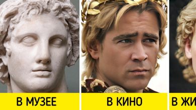 Photo of История скульптуры: от античности до современности